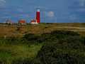 Beach Texel Netherlands.jpg