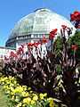 Belle Isle Conservatory.JPG