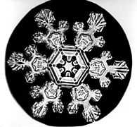 Bentley Snowflake11.jpg