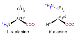 Comparison of the structures of alanine and beta alanine. In alanine, the side-chain is a methyl group; in beta alanine, the side-chain contains a methylene group connected to an amino group, and the alpha carbon lacks an amino group. The two amino acids, therefore, have the same formulae but different structures.