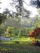 Botanical garden - Cibodas - Indonesia 6.jpg