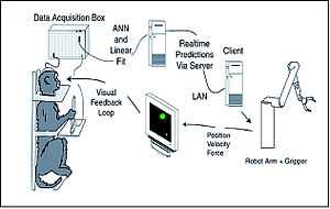 Drawing showing a monkey in a restraint chair, a computer monitor, a rototic arm, and three pieces of computer equipment, with arrows between them to show the flow of information.