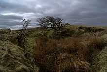 A darkly-lit image of a grassy hill rising above a depression. Long grass is growing in the foreground, and two leafless, gnarled trees are growing in the background. Sunlight is breaking through gaps between storm clouds in the sky.