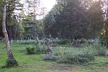 Very overgrown cemetery