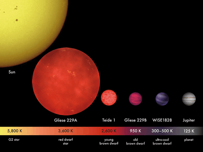 relative sizes