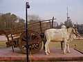 Bull Cart of Punjab.JPG