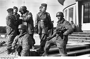 Eight German soldiers standing on steps