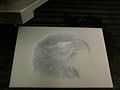 CNC lithophane - bald eagle.jpg