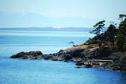 view of Salish Sea