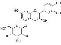 Chemical structure of catechin 5-O-glucoside.