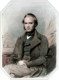 Three quarter length portrait of Darwin aged about 30, with straight brown hair receding from his high forehead and long side-whiskers, smiling quietly, in wide lapelled jacket, waistcoat and high collar with cravat.