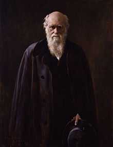 Three-quarter portrait of a senior Darwin dressed in black before a black background. His face and six-inch white beard are dramatically lit from the side. His eyes are shaded by his brows and look directly and thoughtfully at the viewer.