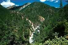 A small stream flows through steep and forested hills below a blue sky with several white clouds.