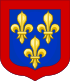 Coat of arms of the dukes of Anjou