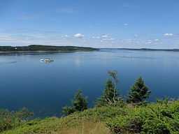 Cobscook Bay from Shackford Head State Park