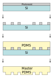 Creating the PDMS Master