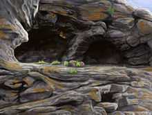 Artist's rendition of Cueva Fell exterior