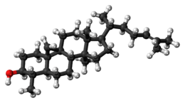 Ball-and-stick model of cycloartenol