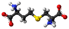 Ball-and-stick model of the cystathionine molecule as a zwitterion