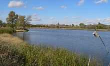 Lake with dead trees in upper end; nest box on pole in foreground