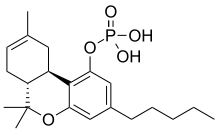 Skeletal formula of THC-O-phosphate