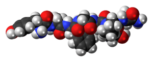 Space-filling model of the dermorphin molecule