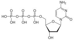 Skeletal formula of deoxycytidine triphosphate