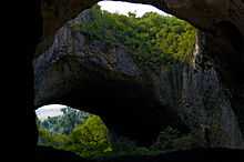 Stone arch with foliage, seen from cave entrance