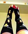 Doggie toe socks.jpg