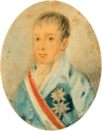 Painting showing the head and shoulders of a boy wearing a high collar and a coat adorned with medals and a striped sash of office