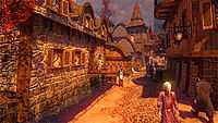 The Journeyman's Inn during autumn in the magical fantasy-based world Arcadia