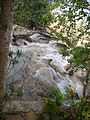 Dunns River Falls 2a Photo D Ramey Logan.jpg