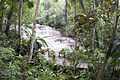 Dunns River Falls wide Photo D Ramey Logan.jpg