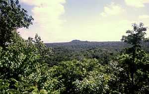 A view across dense jungle with trees framing the left and right sides. The forest extends to the horizon, where a jungle-covered hill breaks the plain. Broken clouds are scattered across a pale sky.