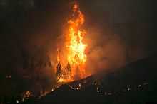 Photo of flames burning trees at night