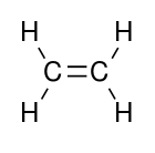 ethylene skeleton