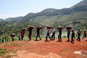 Ixil people carrying exhumed bodies