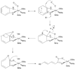 Extradiol Ring Cleavage