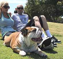 Couple sitting on the lawn with a pet British Bulldog