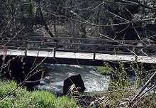 A wooden footbridge with handrails on both sides crosses a small stream in a wooded area. Under the bridge a large boulder protrudes well above the water.