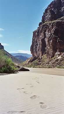 A picture of the banks of the Colorado River. One side of the Grand Canyon is visible on the right, while some footprints are visible in the sand.