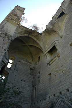 France Loir-et-Cher Lavardin chateau donjon 02.JPG