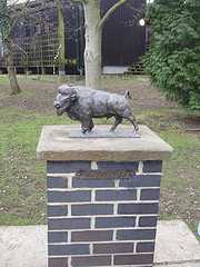 Buffalo Statue