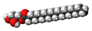 Space-filling model of the glycerol monostearate molecule