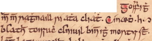 Image of an excerpt from the Annals of Ulster which records the death of Gofraid, in 1073.