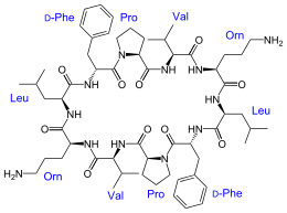 Structural formula of Gramicidin S