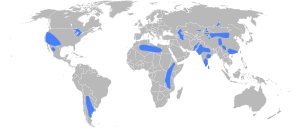 World map with several land areas highlighted, especially in China, India, east Africa, southwest U.S., and Argentina.