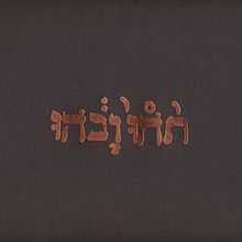 A brown digipack cover to a Compact Disc with gold foil reading "תֹהוּ וָבֹהוּ"
