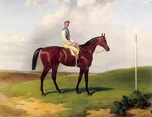 "Kingscraft Bay racehorse" (1877) by Henry Hall