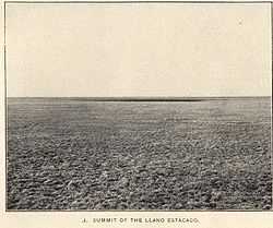 A black and white picture of the barren and level plain of the Llano Estacado in 1900 with sparse natural grass.